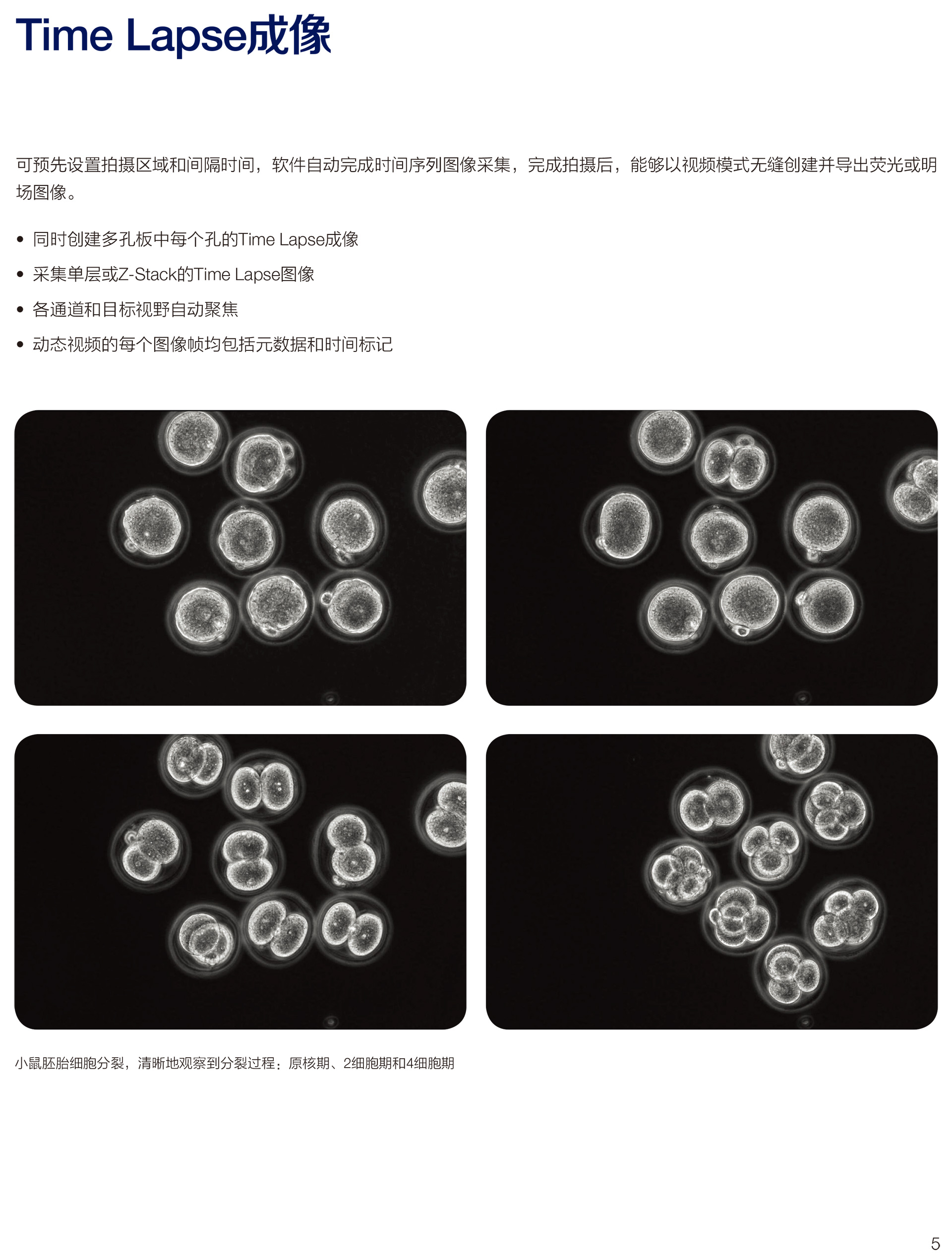 EVOS-M7000-應用彩頁-7.jpg